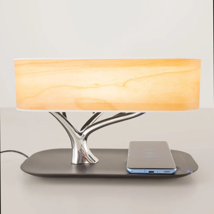 Настольный светильник Citilux Ньютон CL803042