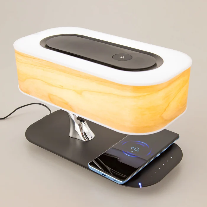 Настольный светильник Citilux Ньютон CL803042