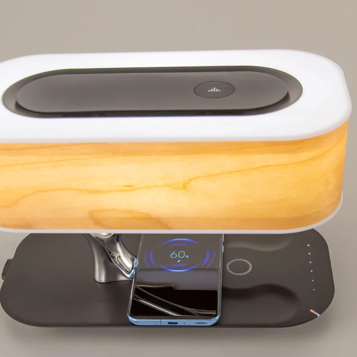 Настольный светильник Citilux Ньютон CL803042