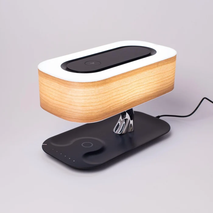 Настольный светильник Citilux Ньютон CL803042