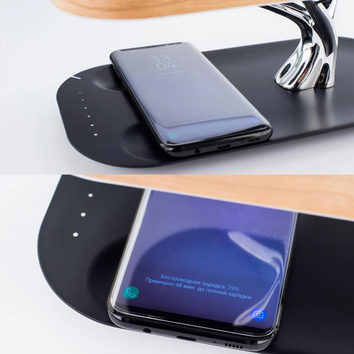 Настольный светильник Citilux Ньютон CL803042