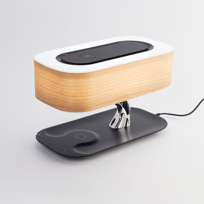 Настольный светильник Citilux Ньютон CL803042