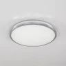 Светильник потолочный Citilux Луна CL702301W