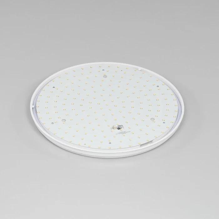 Светильник потолочный Citilux Луна CL702301W