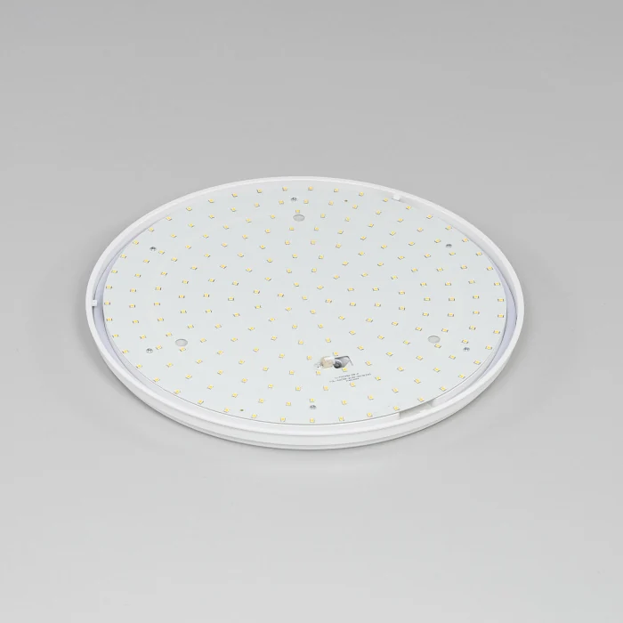 Светильник накладной Citilux Луна CL702301W