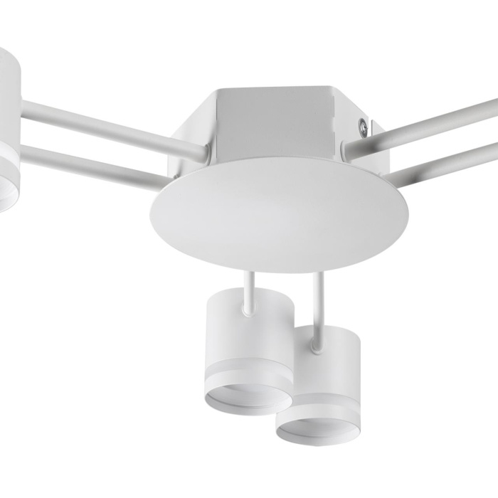 Накладная люстра Lumion Gareta 8235/6C