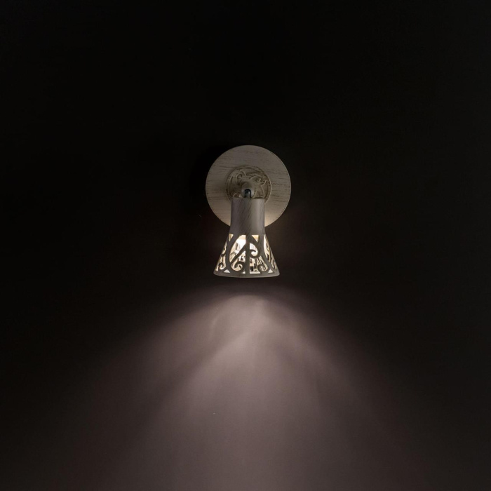 Спот поворотный Citilux Винон CL519515