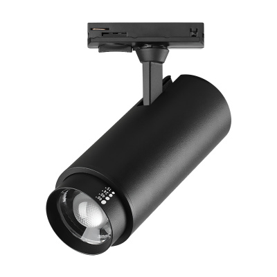 Трековый светильник Lightstar Fuoco p+cct 218017