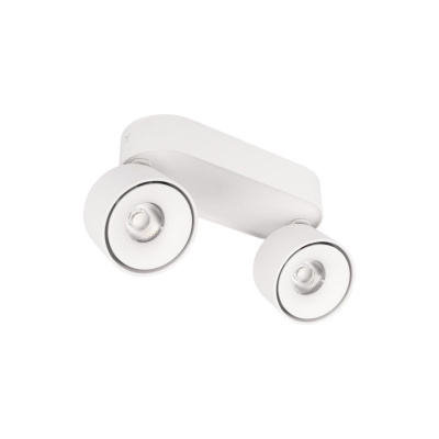 Спот Loft it Focus 10323/2A White