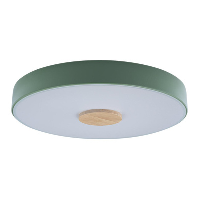 Светильник потолочный Loft it Axel 10003/24 Green