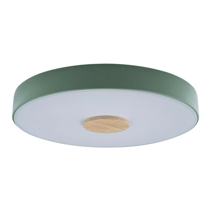 Светильник потолочный Loft it Axel 10003/24 Green