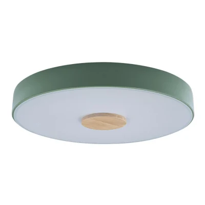 Светильник потолочный Loft it Axel 10003/24 Green