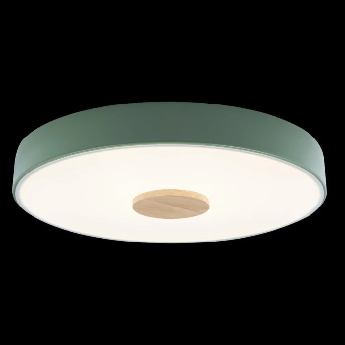 Светильник потолочный Loft it Axel 10003/24 Green