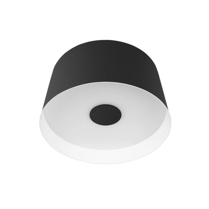 Потолочный светильник LOFT IT Duo 10360S Black