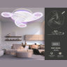 Потолочный светодиодный светильник с пультом Ambrella light FA4475