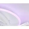 Потолочный светодиодный светильник с пультом Ambrella light FA4475