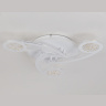 Потолочный светодиодный светильник с пультом Ambrella light FA4475