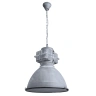 Подвесной светильник Arte Lamp WARHOL A5014SP-1BG