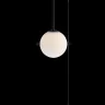 Подвесной светильник Loft it Signal 10029PS Black