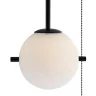 Подвесной светильник Loft it Signal 10029PS Black