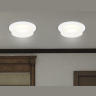 Встраиваемый точечный светильник с акрилом Ambrella light TN1311