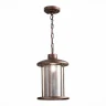 Светильник уличный подвесной ST-Luce SL080.403.01 Темный кофе/Прозрачный, Темный кофе E27 1*60W