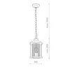 Светильник уличный подвесной ST-Luce SL080.403.01 Темный кофе/Прозрачный, Темный кофе E27 1*60W