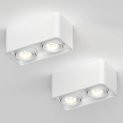 Накладной поворотный светильник Ledron TUBING 2 White