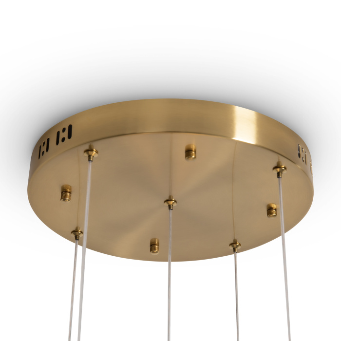 Подвесная люстра Freya Flower FR5579PL-L40BS