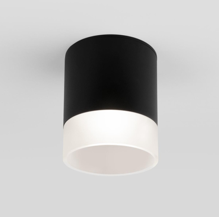 Уличный потолочный светильник Elektrostandard Light led 4690389177941