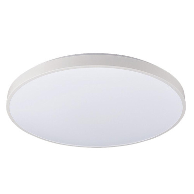 Потолочный cветильник Nowodvorski Agnes Round Led Pro White 10979