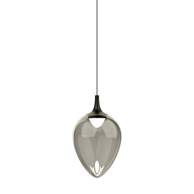 Подвесной светильник Delight Collection MD24001012 MD24001012-1A black/smoky