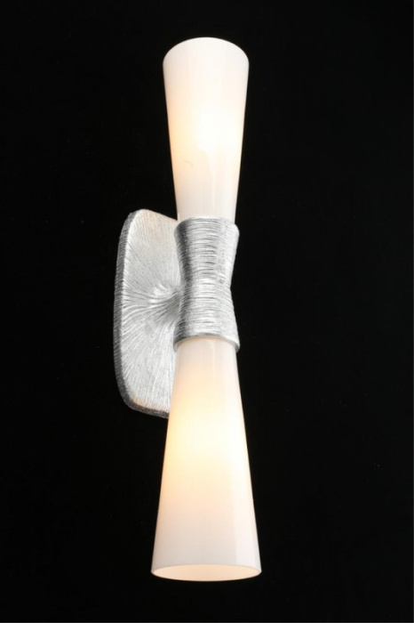 Светильник настенный Aployt Hloya APL.800.11.02