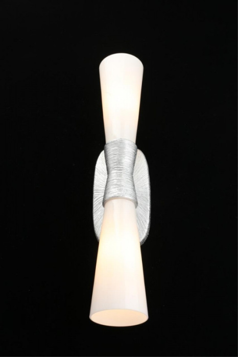 Светильник настенный Aployt Hloya APL.800.11.02