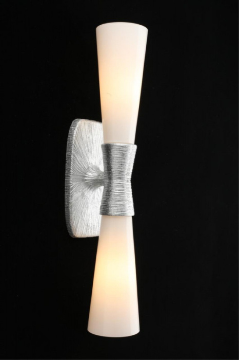 Светильник настенный Aployt Hloya APL.800.11.02