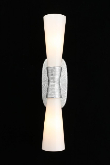 Светильник настенный Aployt Hloya APL.800.11.02