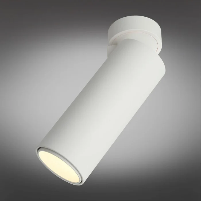 Спот Omnilux Montella OML-101409-12