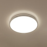 Светильник потолочный Citilux Луна CL702301N