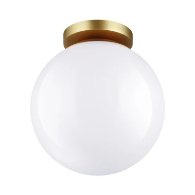 Потолочный накладной светильник Odeon Light Bosco 4248/1C