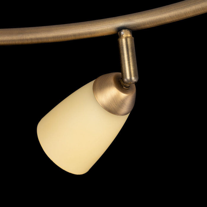 Спот поворотный Citilux Белла CL501163