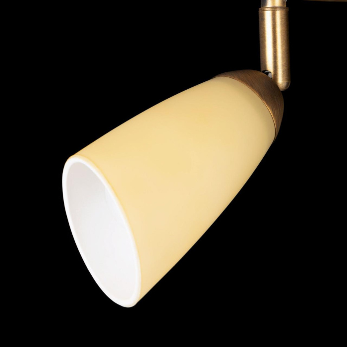 Спот поворотный Citilux Белла CL501163