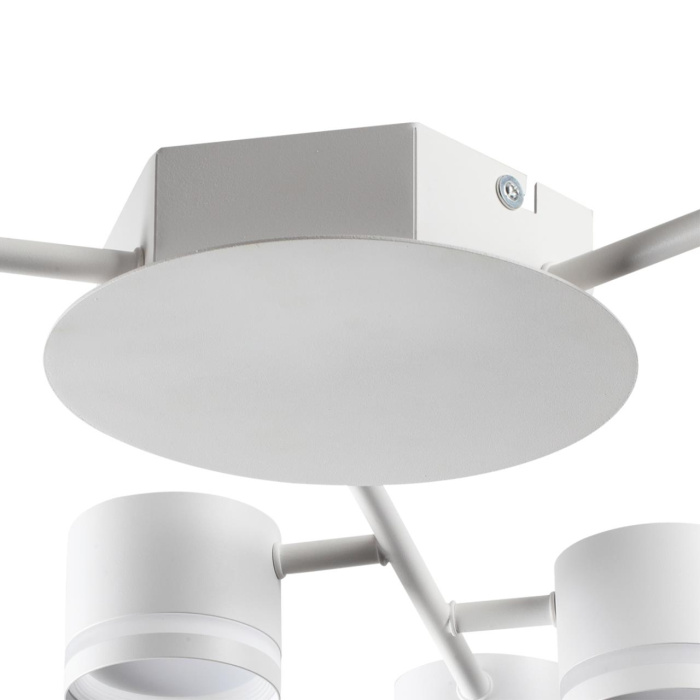 Накладная люстра Lumion Gareta 8235/9C