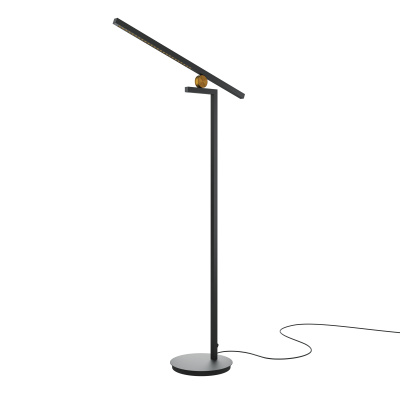 Торшер Maytoni Empathy MOD363FL-L14B3K