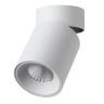 Потолочный светильник Odeon Light Turno 7133/7CL