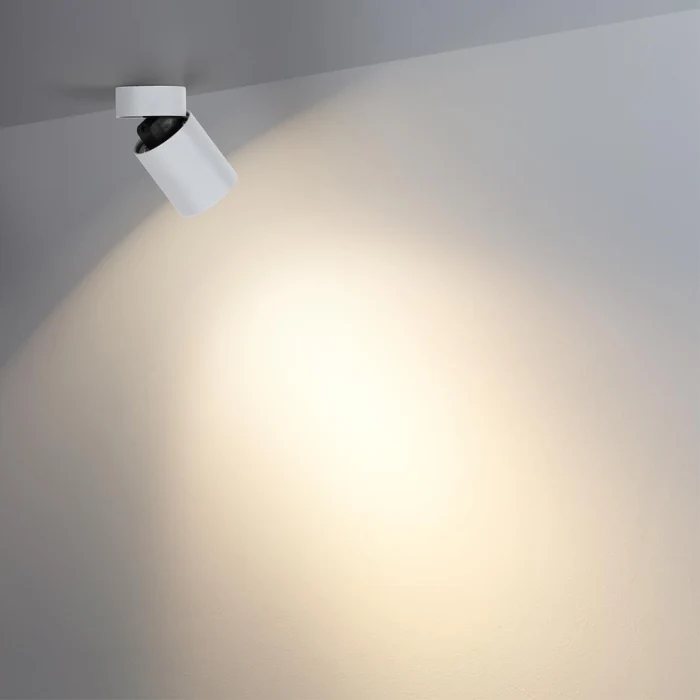 Потолочный светильник Odeon Light Turno 7133/7CL