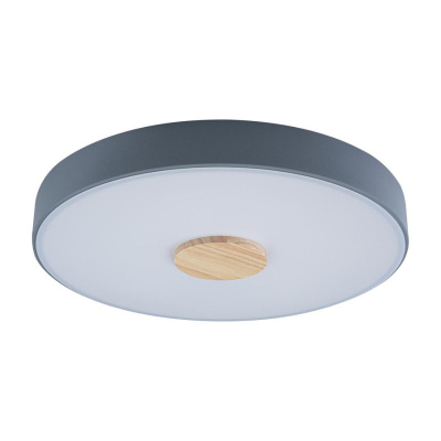 Светильник потолочный Loft it Axel 10003/24 Grey