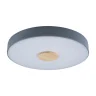 Светильник потолочный Loft it Axel 10003/24 Grey