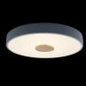 Светильник потолочный Loft it Axel 10003/24 Grey