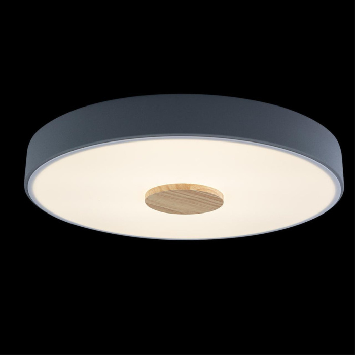 Светильник потолочный Loft it Axel 10003/24 Grey