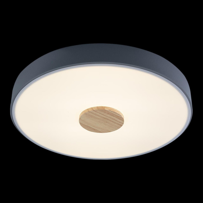 Светильник потолочный Loft it Axel 10003/24 Grey